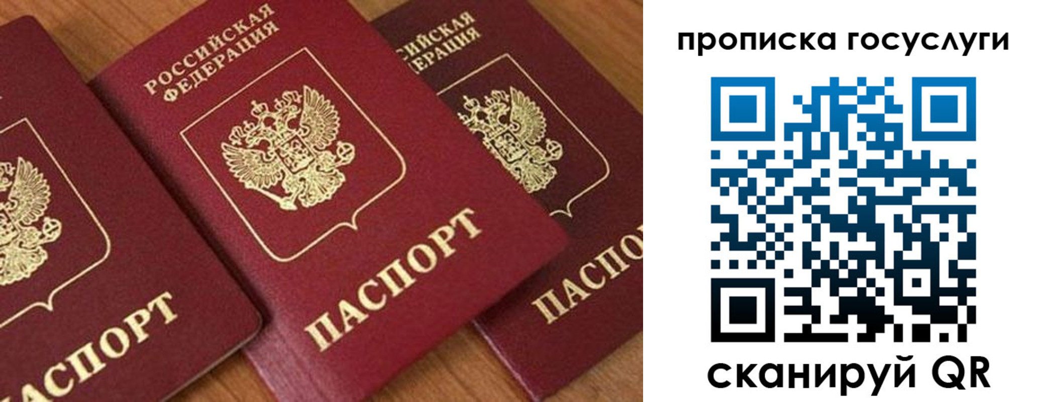 временная прописка в Полярных Зорях